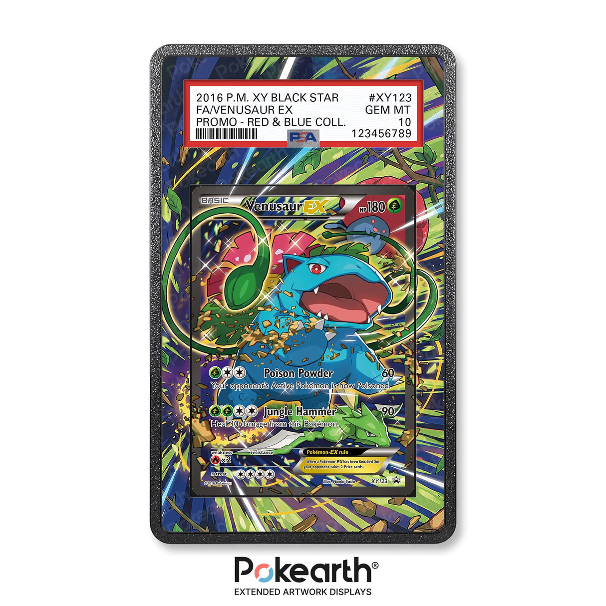 Venusaur EX XY123 - Graded Card Extended Artwork Display Case - Display Case Extended Artwork Pokearth