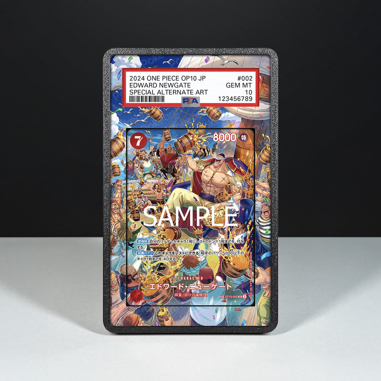 Edward Newgate ST15-002 - Custodia con Artwork Esteso per Carte Gradate - Display Case Extended Artwork Pokearth