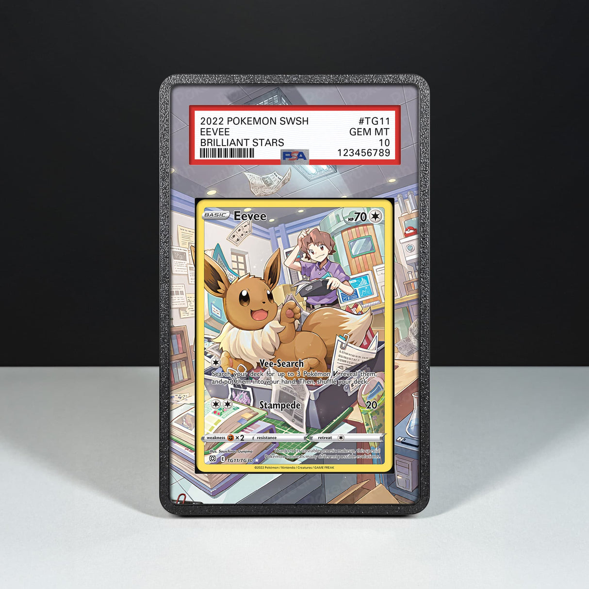 Eevee TG11/TG30 - Graded Card Extended Artwork Display Case - Display Case Extended Artwork Pokearth