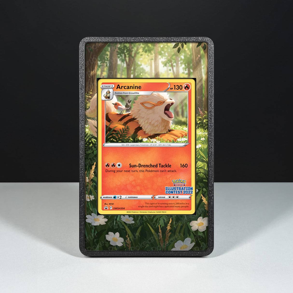 Arcanine SWSH 304 - Custodia con Artwork Esteso per Carte Pokémon - Display Case Extended Artwork Pokearth