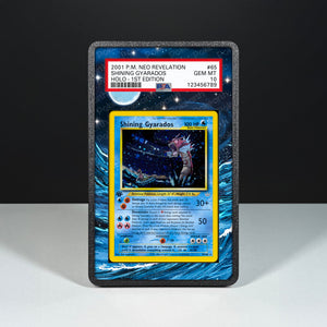 Shining Gyarados 65/64 - Graded Card Extended Artwork Display Case - Display Case Extended Artwork Pokearth