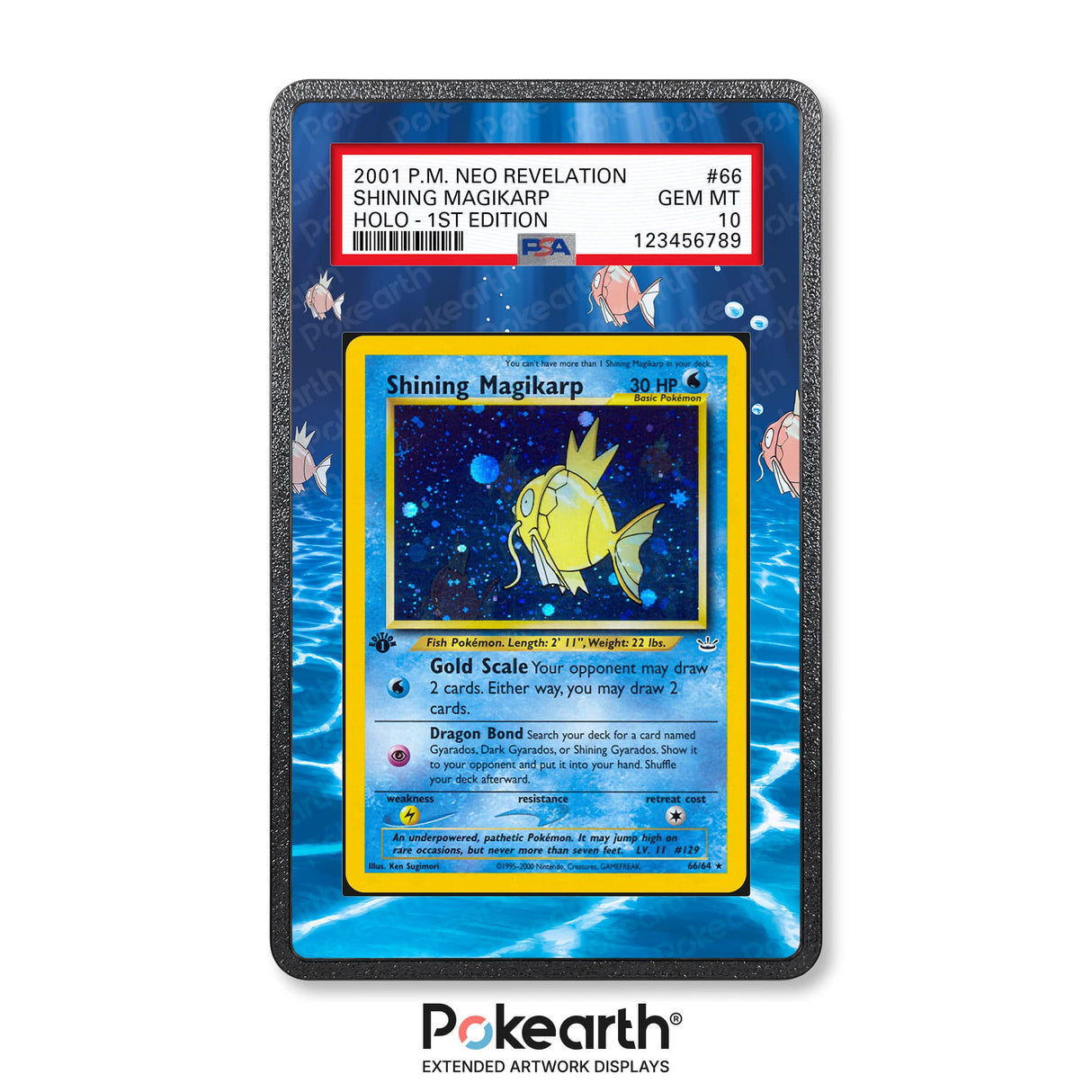 Shining Magikarp 66/64 - Graded Card Extended Artwork Display Case - Display Case Extended Artwork Pokearth