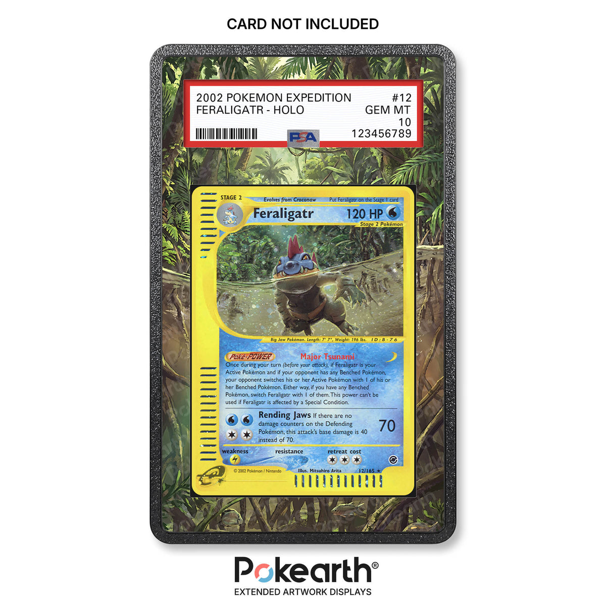Feraligatr 12/165 - Graded Card Extended Artwork Display Case
