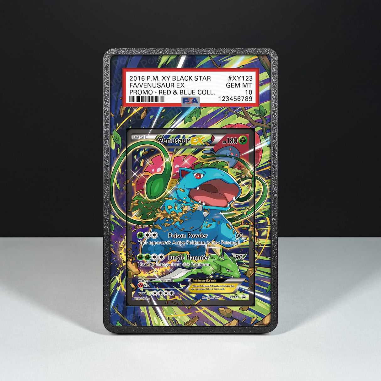 Venusaur EX XY123 - Graded Card Extended Artwork Display Case - Display Case Extended Artwork Pokearth