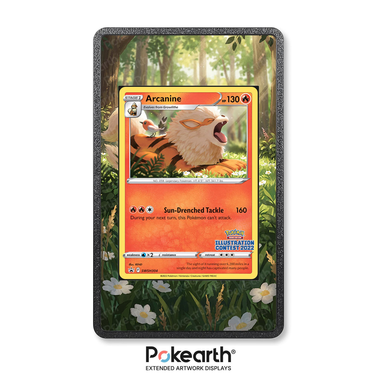 Arcanine SWSH 304 - Custodia con Artwork Esteso per Carte Pokémon - Display Case Extended Artwork Pokearth