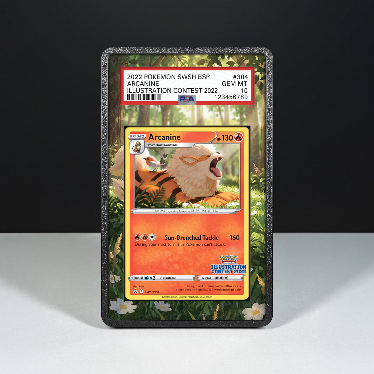 Arcanine SWSH 304 - Graded Card Extended Artwork Display Case - Display Case Extended Artwork Pokearth