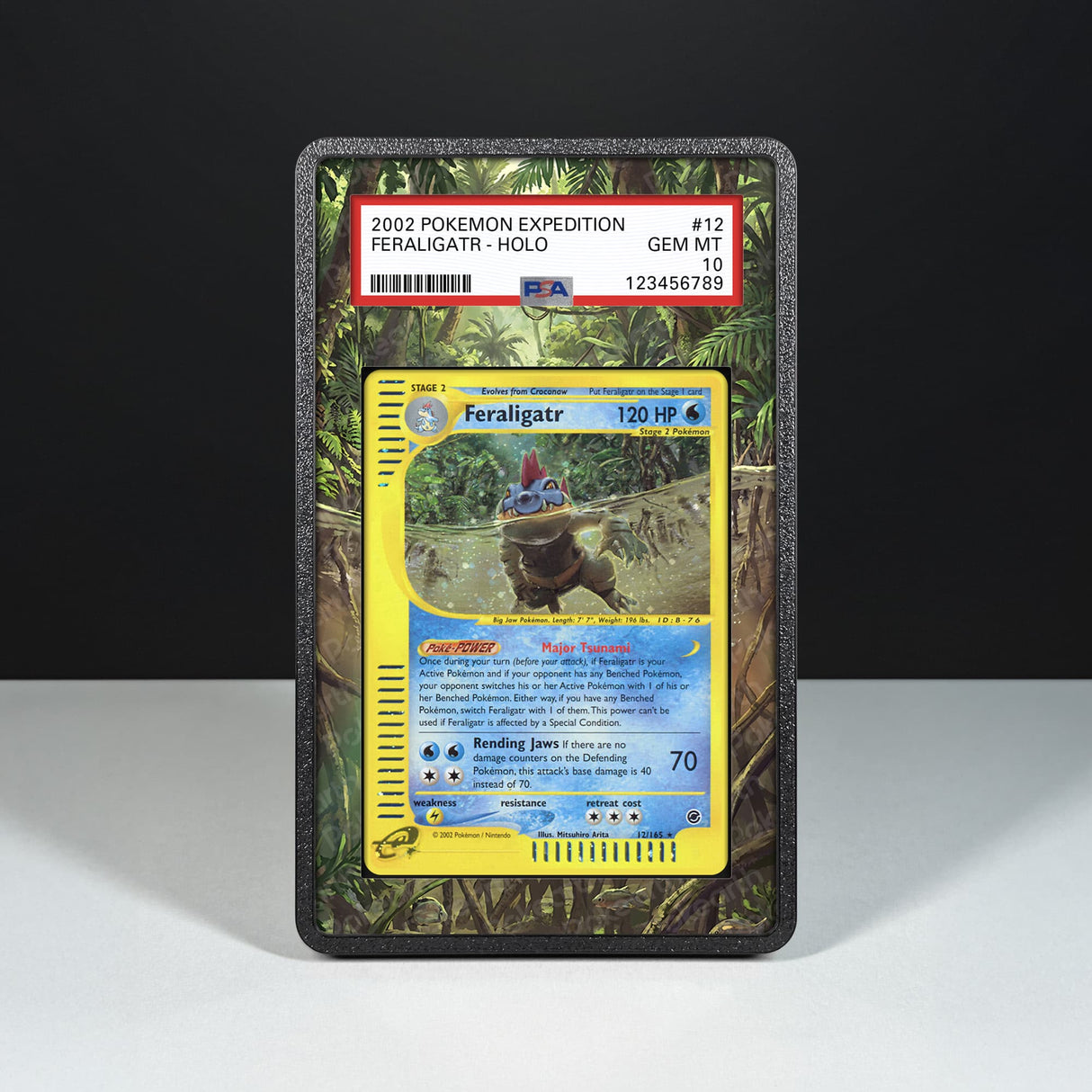 Feraligatr 12/165 - Graded Card Extended Artwork Display Case - Display Case Extended Artwork Pokearth