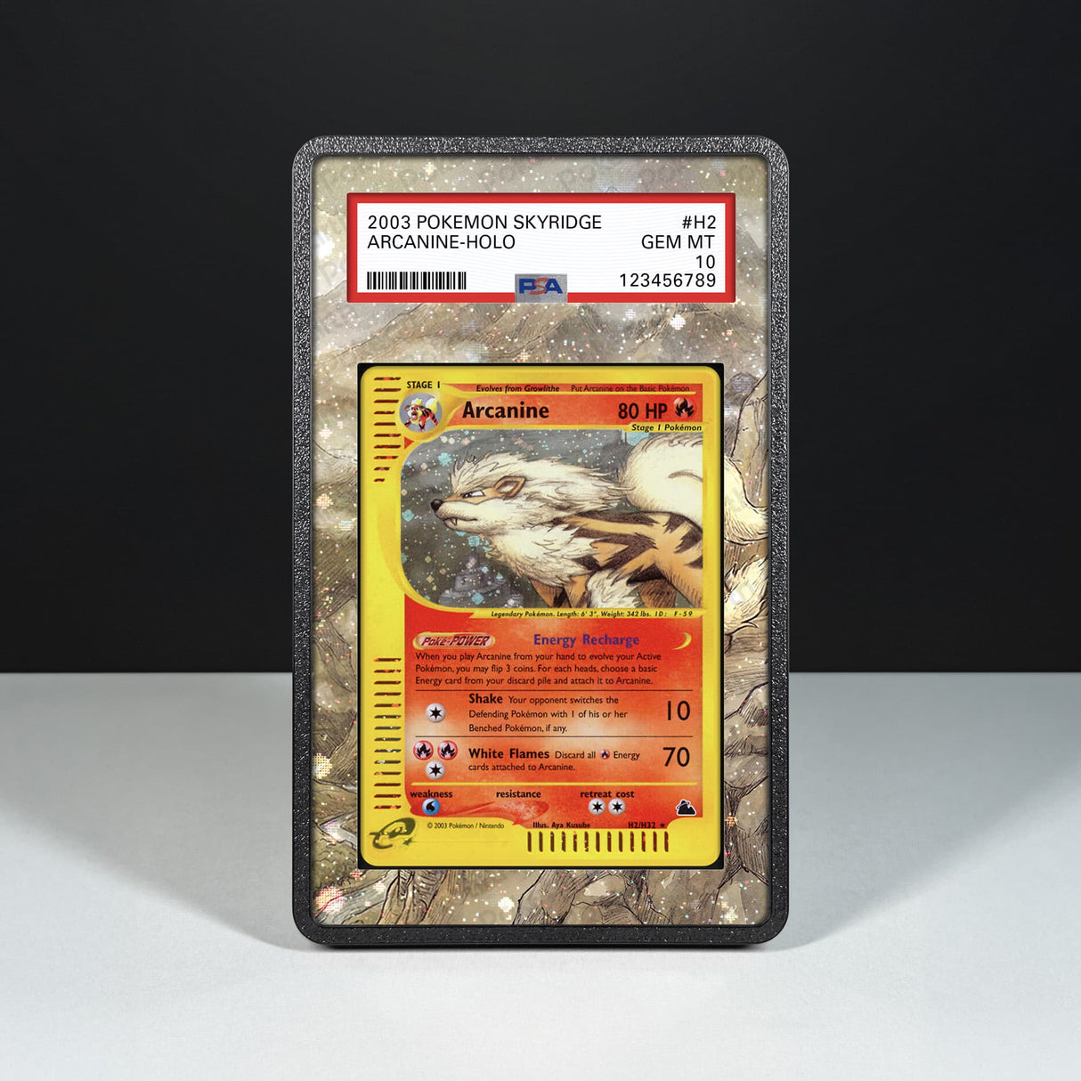 Arcanine H2/H32 - Graded Card Extended Artwork Display Case - Display Case Extended Artwork Pokearth